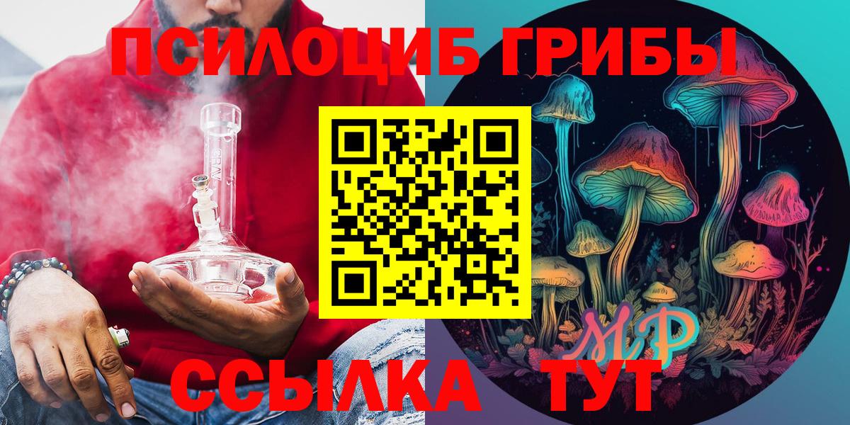 Псилоцибиновые грибы Psilocybe Можга