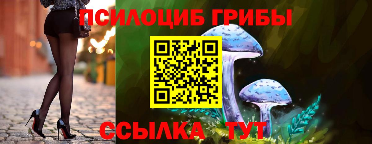 Галлюциногенные грибы ЛСД  Вход с VPN  Можга  Галлюциногенные грибы прущие грибы 